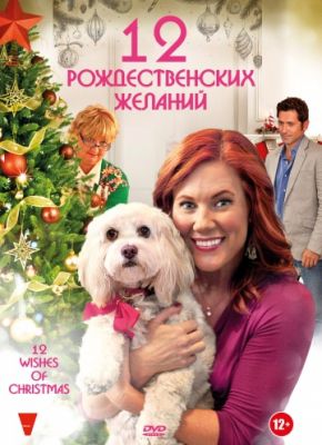 12 Рождественских желаний (2011)