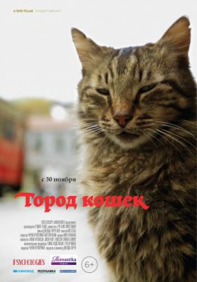 Город кошек (2016)